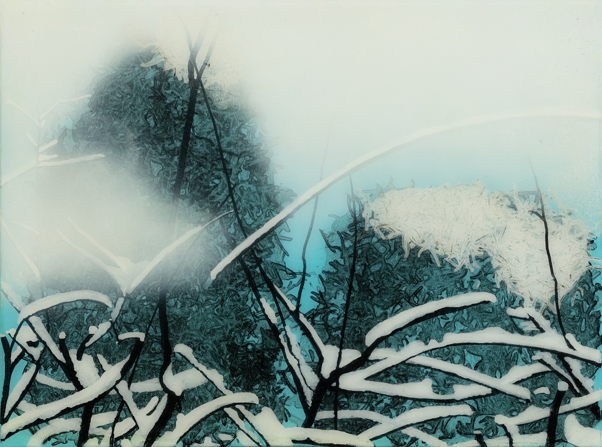  画作14